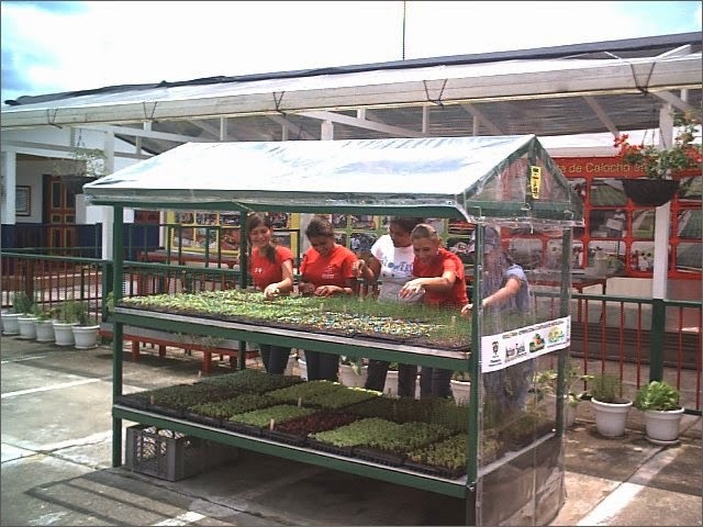 M&oacute;dulo de germinaci&oacute;n: estructura met&aacute;lica verde con cubierta agr&iacute;cola transparente y mesas con bandejas de pl&aacute;ntulas, con el equipo de trabajo operando la unidad